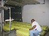 IMG_0286