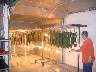 IMG_0300